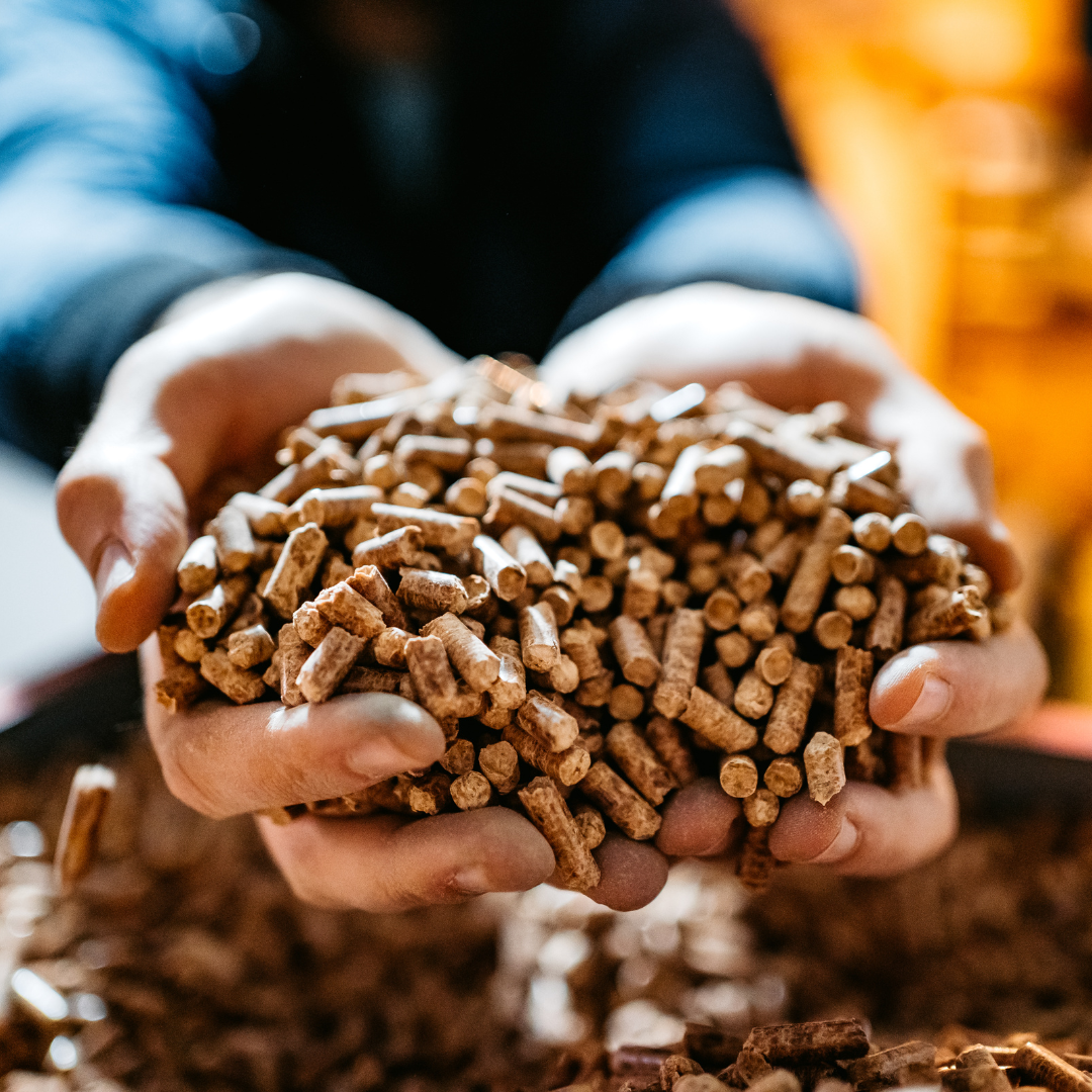 Pellets De Chanvre : Plus économiques Que Les Granulés De Bois