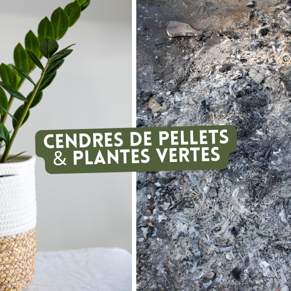 Jardinage : comment bien utiliser la cendre des pellets de bois ?