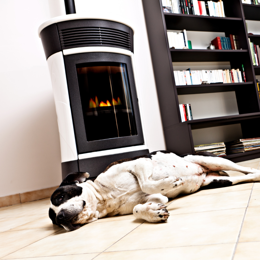 Granulés De Ramonage FULGURANT NATUREL - Nettoyage Efficace | FULGURANT