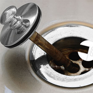 Pratique ce bouchon d'évier mettra de la gaieté dans votre cuisine ! r –  cuistomalin