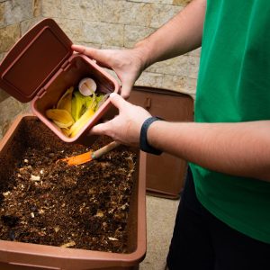 Vos déchets de table dans un bac à compost pour enrichir vos plantes -  Enerzine