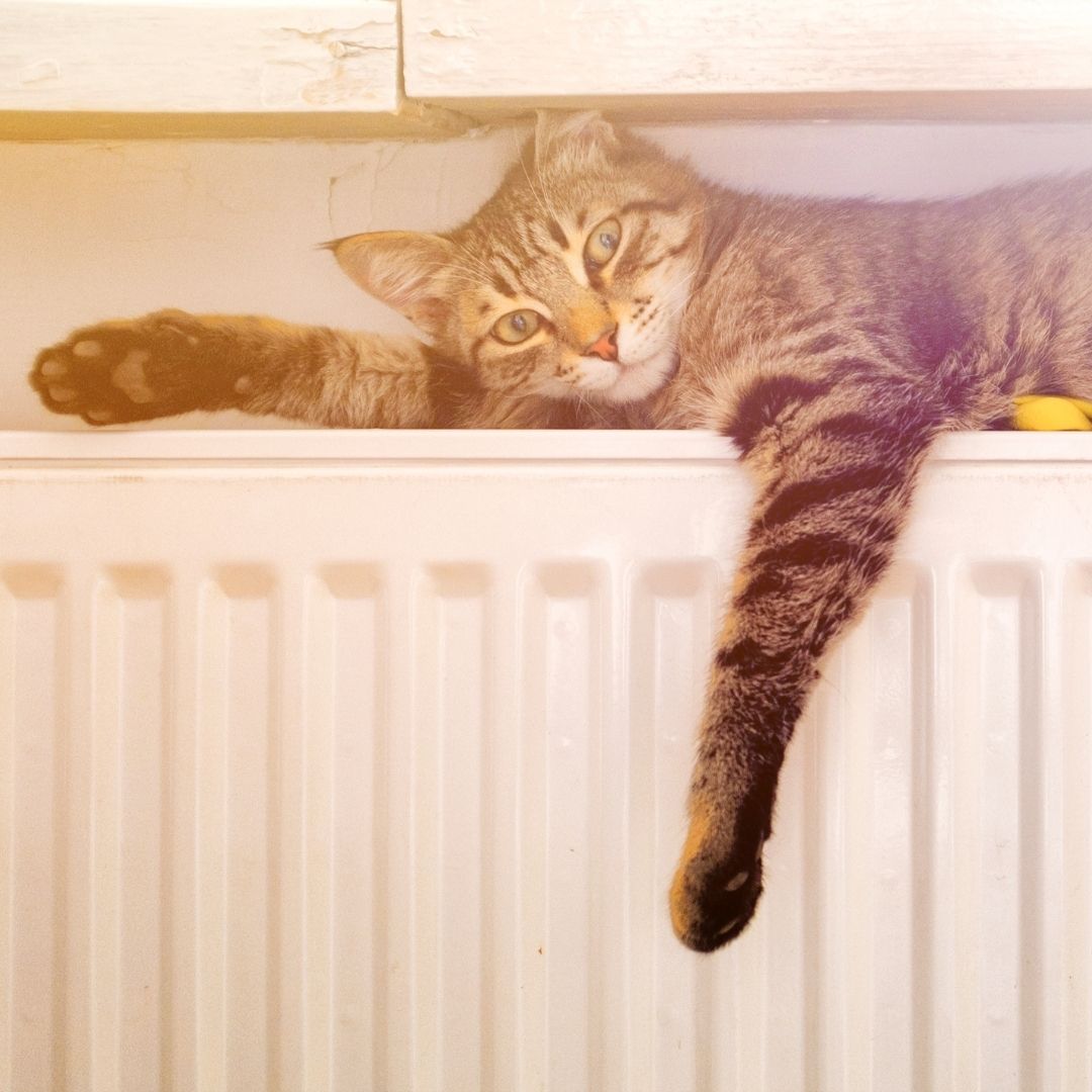 Méthode imparable pour nettoyer ton radiateur et éviter l