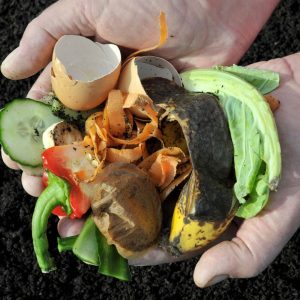 Activateur de compost pour composteurs collectifs Comptoir des Jardins