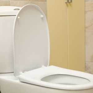 Comment changer un abattant WC avec frein de chute ? - L'Atelier par Brico  Privé